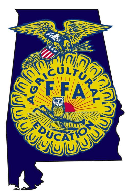 fasdgfa 